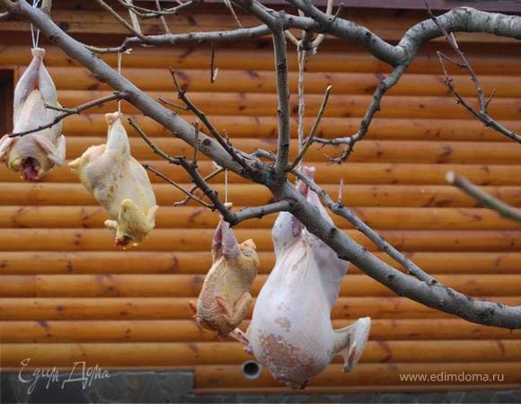 Фото рецепта