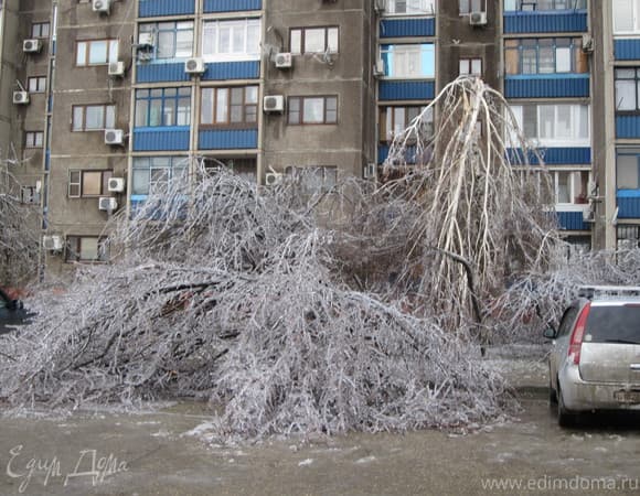 Фото рецепта