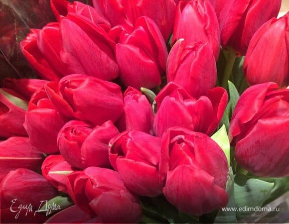 Ваши рецепты (Том 5)