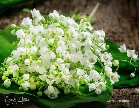 Эллиса, поздравляем с Днем рождения!
