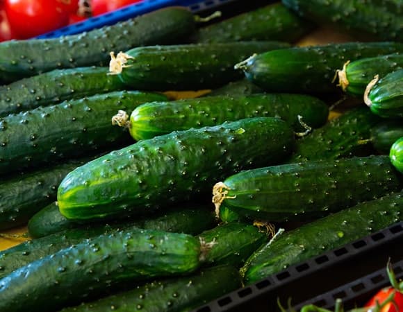 Огурцы подешевели на фоне роста цен на другие продукты 