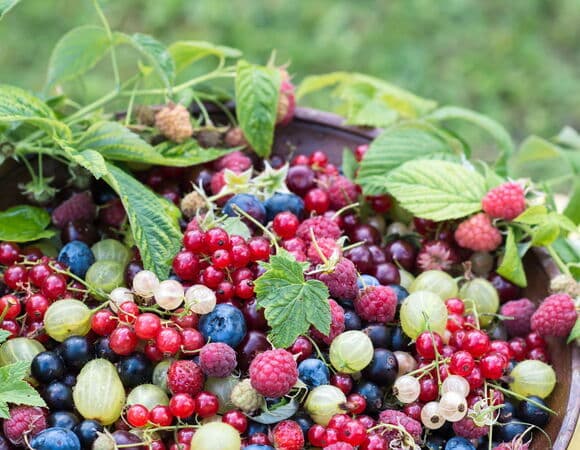 Эксперт рассказала, какие продукты стоит добавить в рацион летом