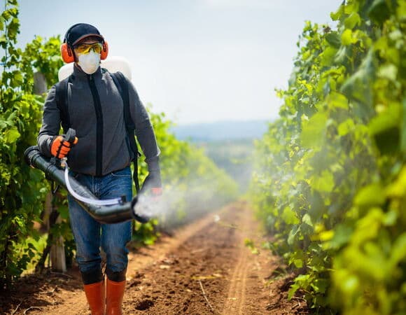Эксперты перечислили продукты, зараженные пестицидами