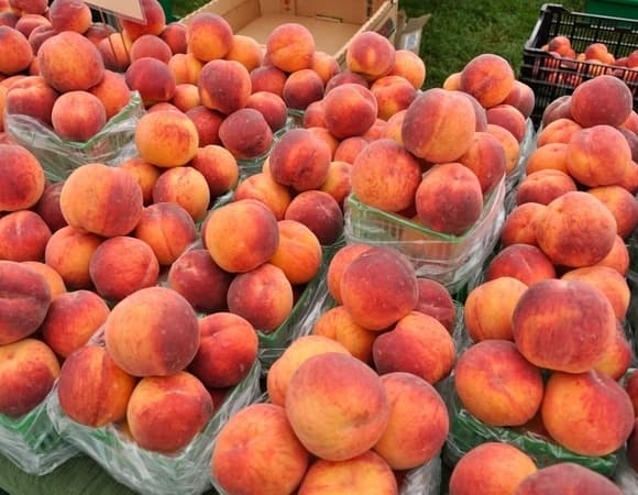 Фермер рассказал, как выбрать вкусные персики