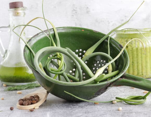 Что приготовить из чесночных стрелок: 5 рецептов вкусных блюд