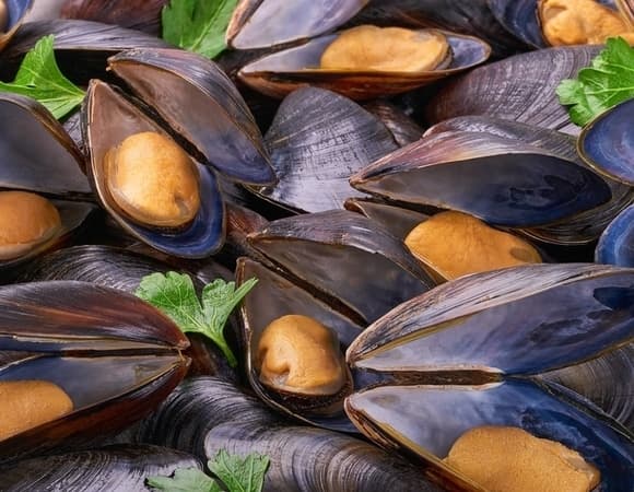 Сокровища моря на вашем столе: все, что нужно знать о мидиях — вкусные рецепты в том числе