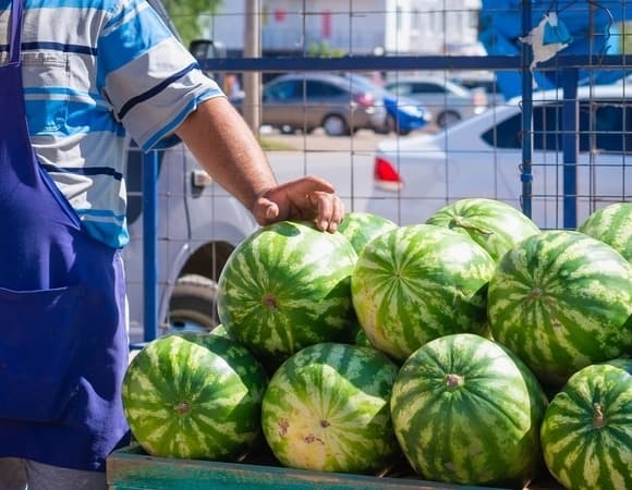 В управлении Роспотребнадзора рекомендовали покупать арбузы только там
